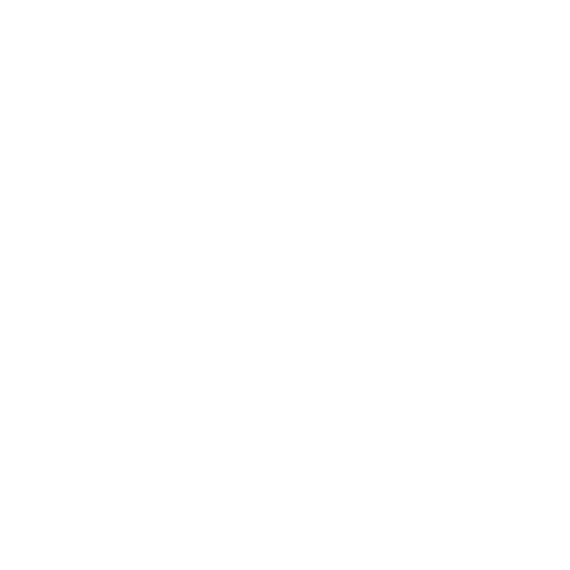 Batut Arena Baku