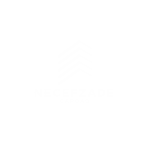 Necefzade cardaq